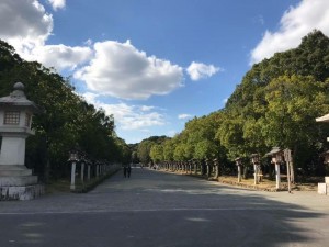 橿原神宮 鳥居が消えている